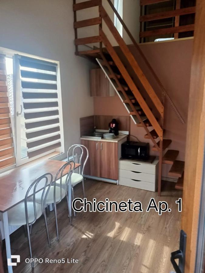 Willa Casa Lucaciu Kluż-Napoka Zewnętrze zdjęcie